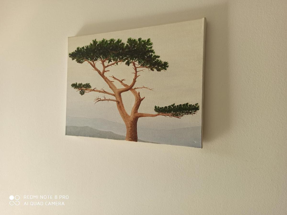 Apartmani Mislav Slatine Buitenkant foto