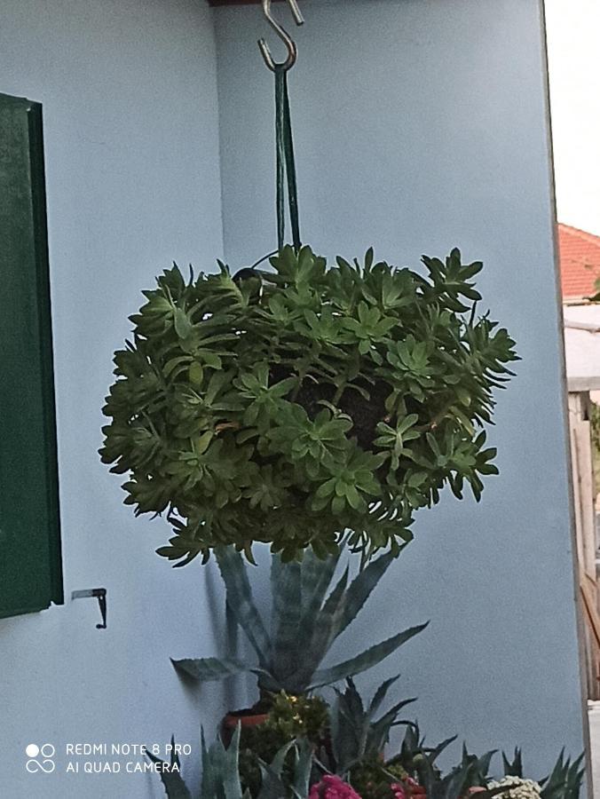 Apartmani Mislav Slatine Buitenkant foto
