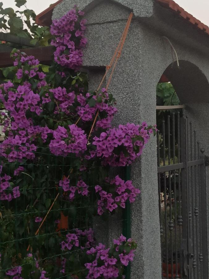 Apartmani Mislav Slatine Buitenkant foto